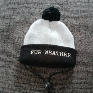 Dog hat
